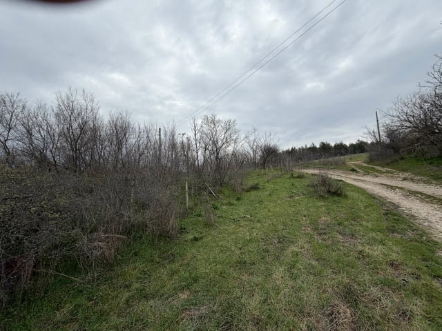Парцел в регулация в село Братя даскалови, село Братя Даскалови | Парцели / Земя - снимка 1