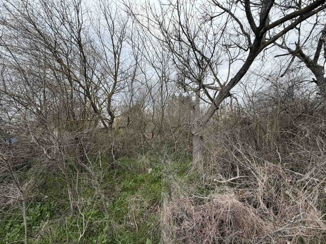 Парцел в регулация в село Братя даскалови, село Братя Даскалови | Парцели / Земя - снимка 2