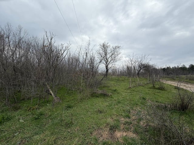 Парцел в регулация в село Братя даскалови, село Братя Даскалови | Парцели / Земя - снимка 3