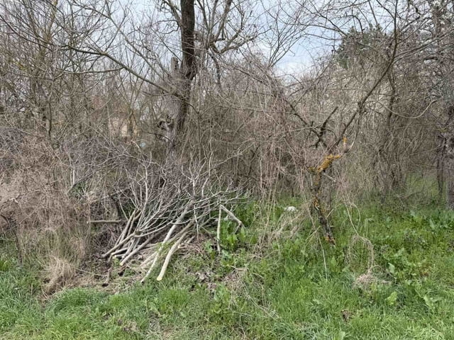 Парцел в регулация в село Братя даскалови, село Братя Даскалови | Парцели / Земя - снимка 5