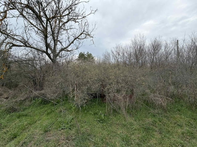 Парцел в регулация в село Братя даскалови, село Братя Даскалови | Парцели / Земя - снимка 6