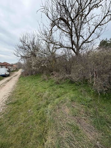 Парцел в регулация в село Братя даскалови, село Братя Даскалови | Парцели / Земя - снимка 9