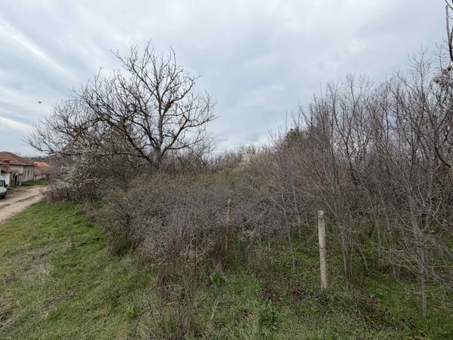 Парцел в регулация в село Братя даскалови, село Братя Даскалови | Парцели / Земя - снимка 10