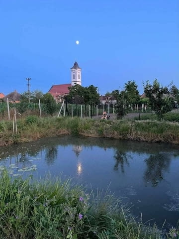 Къща в Деч, Сърбия 3-floor, Other, 312 m2 - city of Izvun Bulgaria | Houses & Villas - снимка 4