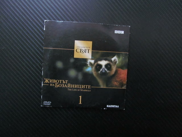 Животът на бозайниците 1 DVD филм сполучлив дизайн ловци на насекоми Загадъчен свят торбести BBC нау - снимка 1