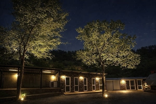 American Bully XL / XXL Другa, 2 Months - city of Izvun Bulgaria | Dogs - снимка 10