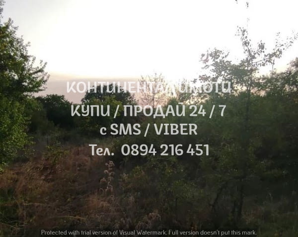 Кодо 62788. Дворно място 430м2 до ток и вода и застроени имоти, до борова гора на уединено място и ч - снимка 3