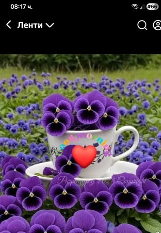 Домакинска помощ /търся Part Time - city of Sofia | Part-time Jobs