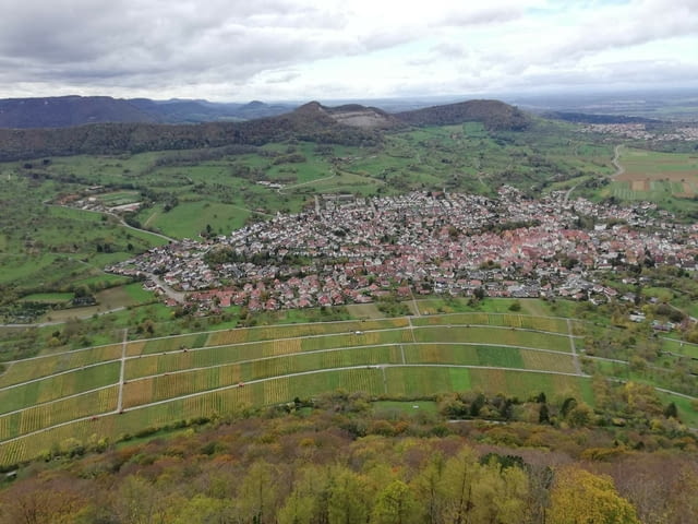 Работа Търся - city of Sofia | Looking for jobs