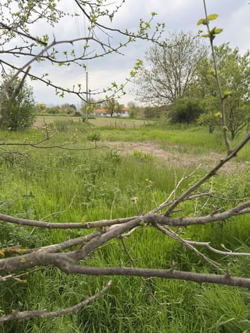 Парцел в село Братя Даскалови до ток и вода, село Братя Даскалови | Парцели / Земя - снимка 4