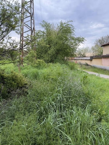 Парцел в село Братя Даскалови до ток и вода, село Братя Даскалови | Парцели / Земя - снимка 9