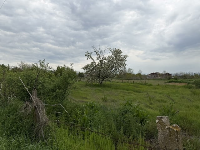 Парцел в село Братя Даскалови до ток и вода, село Братя Даскалови | Парцели / Земя - снимка 11