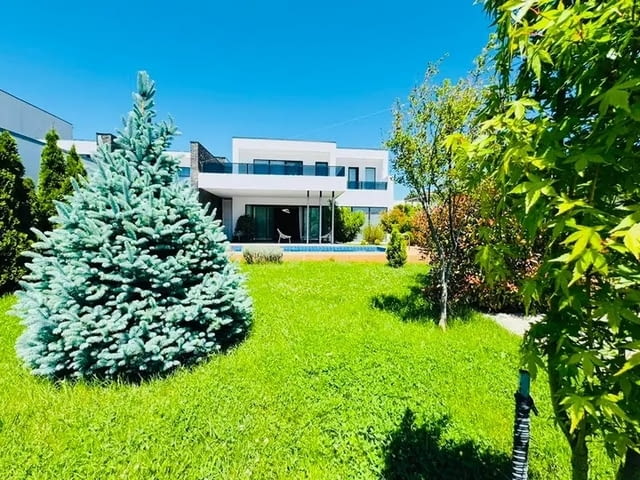 Продажба на частни имоти, включително ферма. Друга, Тухла, 0 м2 - град Кочериново | Къщи / Вили - снимка 12