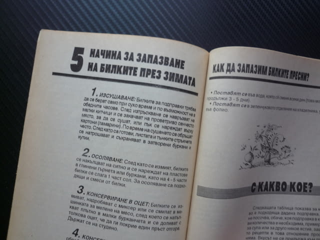 На всяка манджа мерудия сол пиппер рецепти билки подправки шафран чубрица анасон пащърнак магданоз - снимка 3