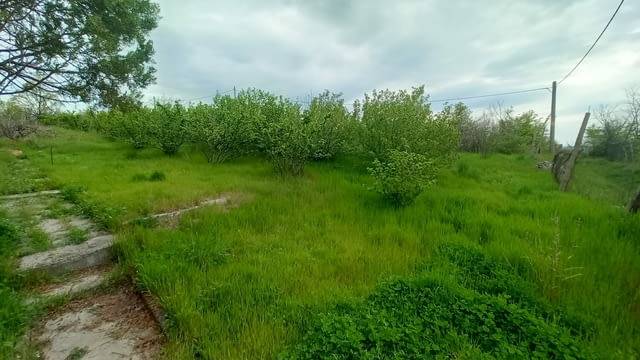 Продава се вила с лешникова градина във вилна зона Минерални бани - снимка 2