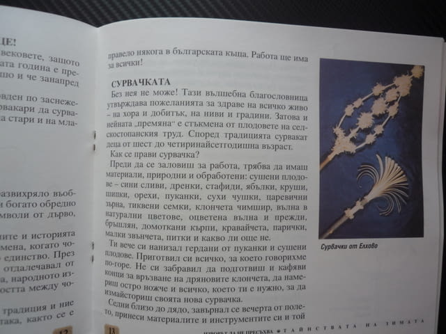 Изворът да не пресъхва Тайнствата на зимата Лозинка Йорданова празници сурвачка коледари ЧНГ кукери - снимка 4