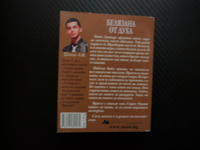 Белязана от духа Денис С. Ниязи момчето което обичаше роман не всичко е така както изглежда тайни ме - снимка 3