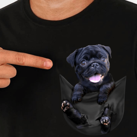 Чистокръвни бебета Мопс с родословие Pug, 2 Months, Vaccinated - Yes - village Ezdimirtsi | Dogs - снимка 6