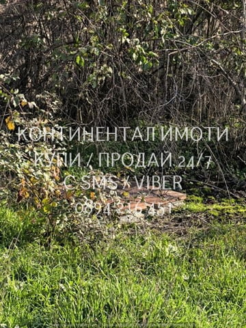 Код 63194. Едноетажна тухлена къща 50м2 с огромен двор(1600м2./1370м2.по скица) и плодороден, с разл - снимка 12
