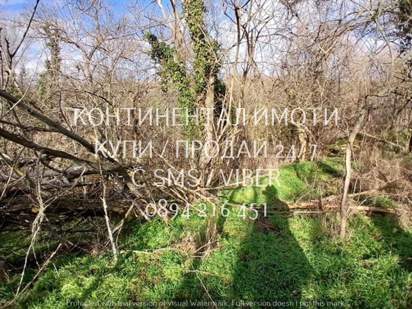 Код 63202. Просторен двор 900м2 със стара къща. Къщата е 20м2. (две стаи, мазе и изградено място за - снимка 3