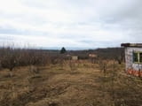 Родавам 600 кв.м. овощна градина с 30 плодни дръвчетав местността „Летище“ село Звездица