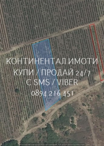 Кодг 63208. Старо лозе 2400м2 в голям лозов масив, на около 1, 5км от шосето от с. Йоаким Груево на - снимка 1