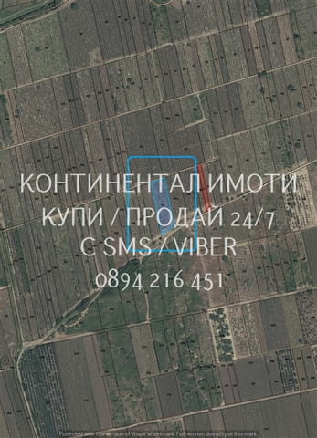 Кодг 63208. Старо лозе 2400м2 в голям лозов масив, на около 1, 5км от шосето от с. Йоаким Груево на - снимка 2