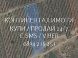 Кодг 63208. Старо лозе 2400м2 в голям лозов масив, на около 1, 5км от шосето от с. Йоаким Груево на