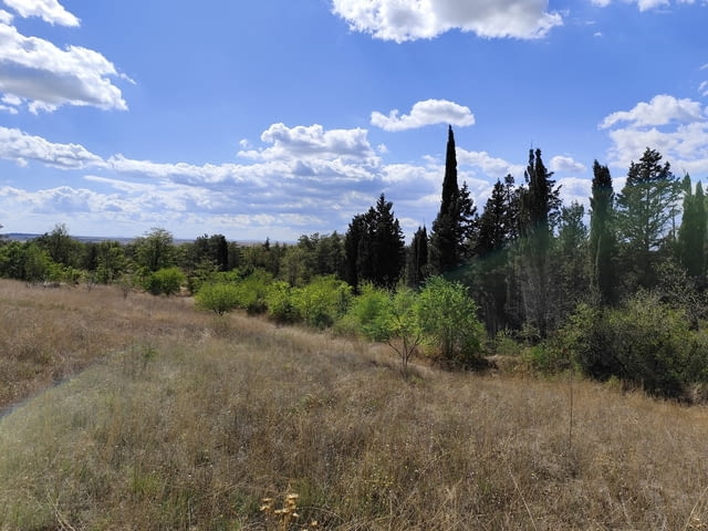 ПИ в Бургас, кв. Банево, парк "Минерални бани", град Бургас | Парцели / Земя - снимка 6