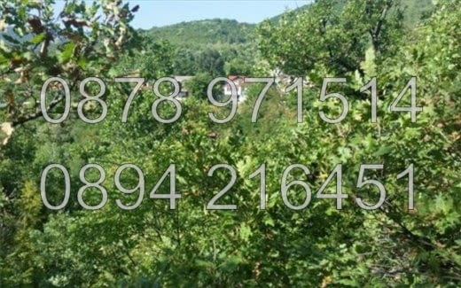 КОДг 18026. Запусната овощна градина 630м2. във Втора вилна зона, в местност Скелето. Подходящо е за - снимка 3
