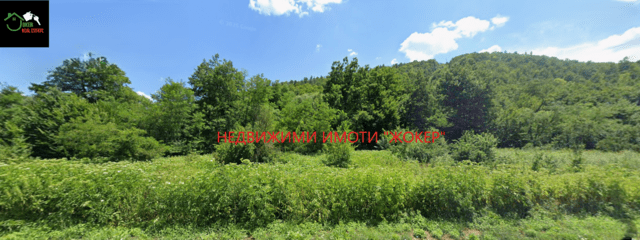 Парцел /земеделска земя/ в село Белица 1958 m2, Land - village Belica | Land - снимка 2