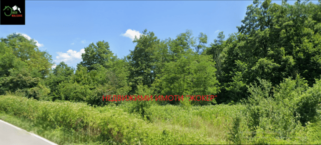 Парцел /земеделска земя/ в село Белица 1958 m2, Land - village Belica | Land - снимка 4