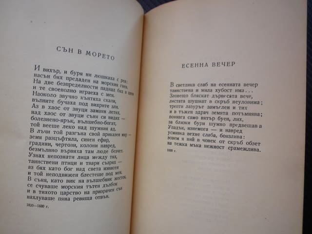 Избрани стихотворения Фьодор И. Тютчев поезия стихове руски поет романтизма славянски стихотворения - снимка 3