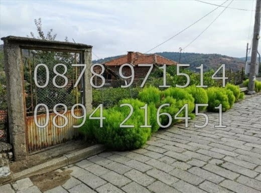 КОДг 17242. Стара едноетажна къща 50м2 с двор 140м2 с много добро местоположение в горната махала и - снимка 3
