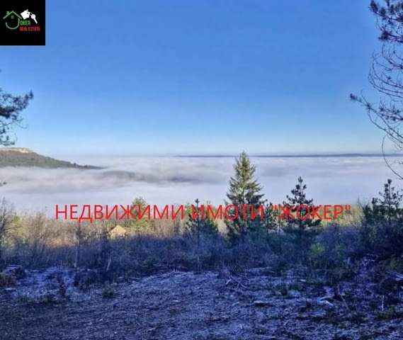 Парцел в село Арбанаси 520 м2, Земеделска земя - село Арбанаси | Парцели / Земя - снимка 2