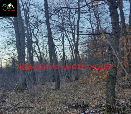 Парцел в село Арбанаси 520 м2, Земеделска земя - село Арбанаси | Парцели / Земя - снимка 3