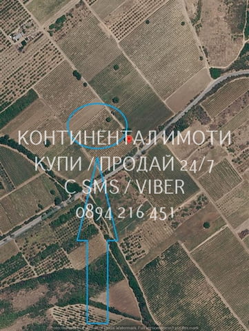 КОДг 63221. Лозе 8дка, състоящо се от три съседни имота, на втора линия от шосето преди селото. - снимка 1