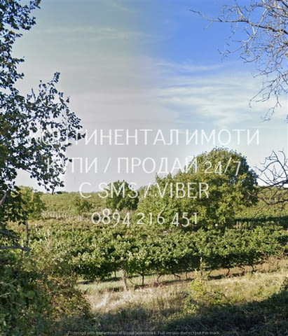 КОДг 63221. Лозе 8дка, състоящо се от три съседни имота, на втора линия от шосето преди селото. - снимка 3