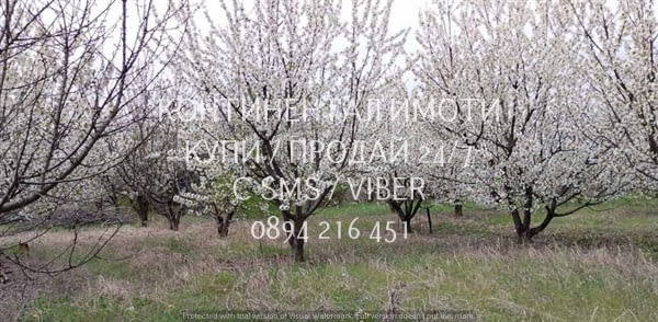 Код 63224. 3 панорамни нови УПИ-та преди селото, на около 800 м. от Околовръстното и на 100м от шосе - снимка 5