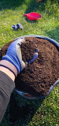 🪱 БиоХумус от Калифорнийски Червей – БИОТОР ЧЕПИНЦИ ЕООД, city of Sofia | Fertilizers & Soil Mixtures - снимка 6
