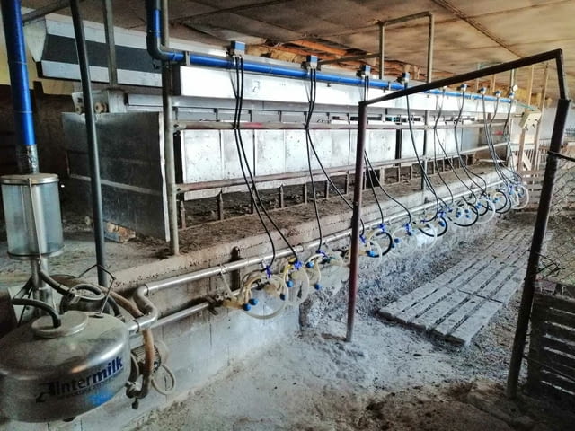 Продавам доилна зала за овце кози 2 по 18 - за 36 животни., град Враца | Оборудване / Съоръжения - снимка 1