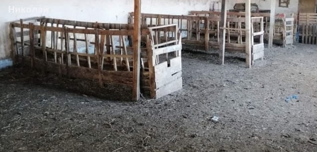 Продавам дървени ясли за овце или кози - град Враца | Други - снимка 2