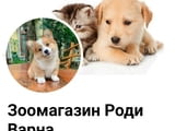 Зоомaгазин Роди