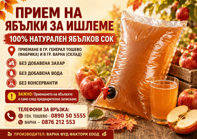Приемане на ябълки за преработка (ишлеме) в 100% натурален ябълков сок - снимка 1