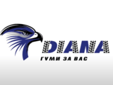 Зимни гуми от Гуми Диана