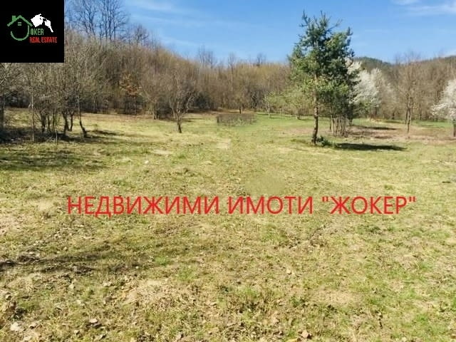 Парцел в регулация в село Скандалото 1291 м2, За жил.строителство - село Скандалото | Парцели / Земя - снимка 3