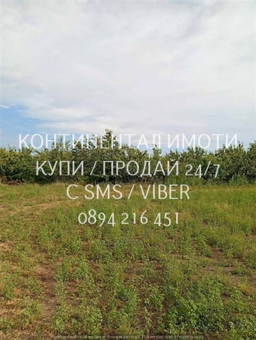 Код 70004. Плододаваща черешова градина 9500м2, разположена на стената на язовир с удобен достъп до - снимка 8