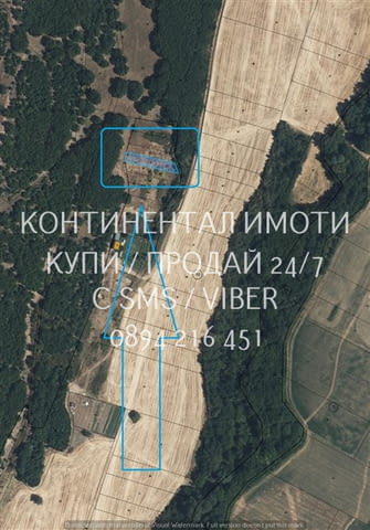 Поземлен имот 1020м2, състоящ се от две съседни ниви, кат. 4-та с много лесен достъп от селото - снимка 2