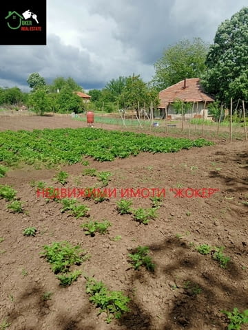 Къща с двор в село Павел 1-floor, Brick, 91 m2 - village Pavel | Houses & Villas - снимка 6