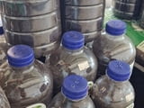 НАСИПЕН ТОР ОТ КАЛИФОРНИЙСКИ ЧЕРВЕЙ В Удобна Бутилка – Чисто и лесно